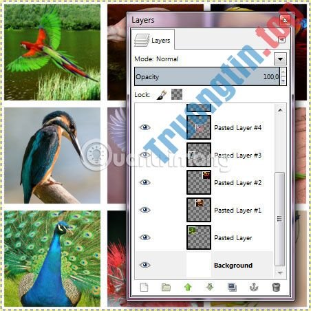 Ghép&nbsp;nhiều&nbsp;ảnh&nbsp;vào&nbsp;chung&nbsp;1&nbsp;khung&nbsp;bằng&nbsp;GIMP