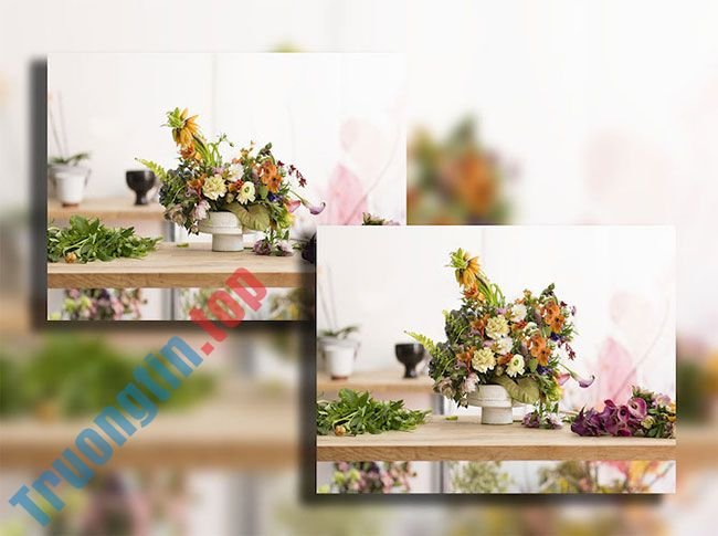 4&nbsp;cách&nbsp;sử&nbsp;dụng&nbsp;công&nbsp;cụ&nbsp;Clone&nbsp;Stamp&nbsp;trong&nbsp;Photoshop