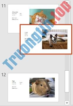 PowerPoint&nbsp;2019&nbsp;(Phần&nbsp;4):&nbsp;Những&nbsp;kiến&nbsp;thức&nbsp;cơ&nbsp;bản&nbsp;về&nbsp;slide