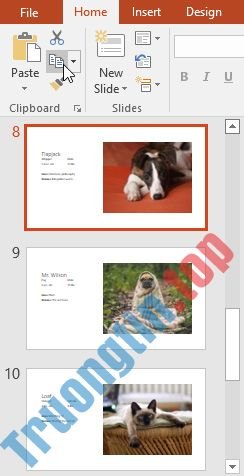 PowerPoint&nbsp;2019&nbsp;(Phần&nbsp;4):&nbsp;Những&nbsp;kiến&nbsp;thức&nbsp;cơ&nbsp;bản&nbsp;về&nbsp;slide