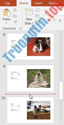 PowerPoint&nbsp;2019&nbsp;(Phần&nbsp;4):&nbsp;Những&nbsp;kiến&nbsp;thức&nbsp;cơ&nbsp;bản&nbsp;về&nbsp;slide