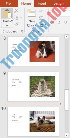 PowerPoint&nbsp;2019&nbsp;(Phần&nbsp;4):&nbsp;Những&nbsp;kiến&nbsp;thức&nbsp;cơ&nbsp;bản&nbsp;về&nbsp;slide