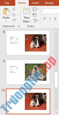 PowerPoint&nbsp;2019&nbsp;(Phần&nbsp;4):&nbsp;Những&nbsp;kiến&nbsp;thức&nbsp;cơ&nbsp;bản&nbsp;về&nbsp;slide