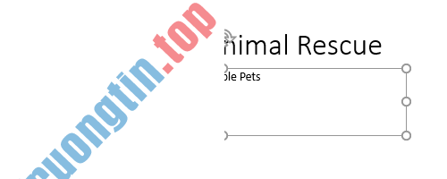 PowerPoint&nbsp;2019&nbsp;(Phần&nbsp;4):&nbsp;Những&nbsp;kiến&nbsp;thức&nbsp;cơ&nbsp;bản&nbsp;về&nbsp;slide