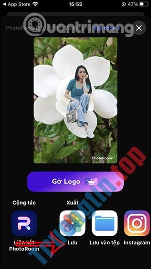 Cách&nbsp;dùng&nbsp;PhotoRoom&nbsp;tách&nbsp;nền&nbsp;ảnh&nbsp;trên&nbsp;điện&nbsp;thoại