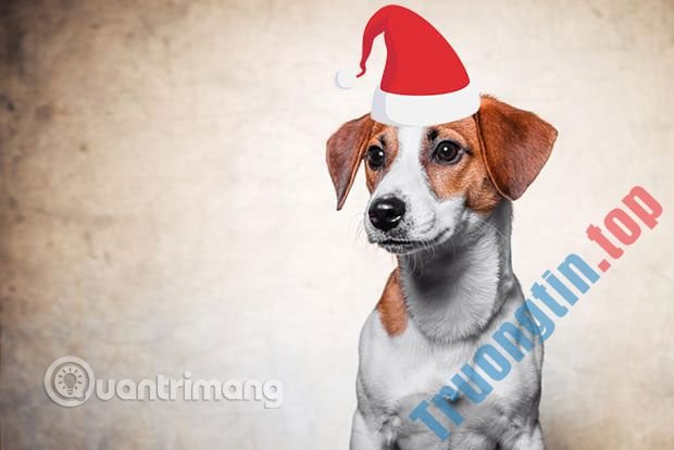 Dùng&nbsp;Photoshop&nbsp;tạo&nbsp;thêm&nbsp;mũ&nbsp;trên&nbsp;đầu&nbsp;một&nbsp;đối&nbsp;tượng