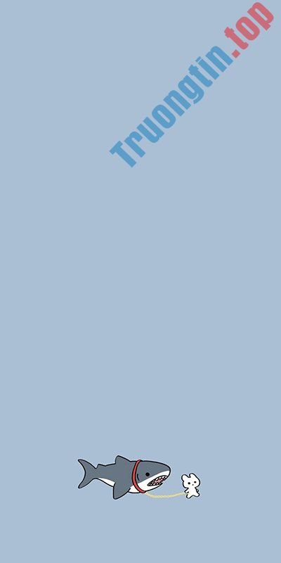 Hình&nbsp;nền&nbsp;Cá&nbsp;Mập&nbsp;Cute,&nbsp;ảnh&nbsp;hình&nbsp;nền&nbsp;cá&nbsp;mập&nbsp;cute