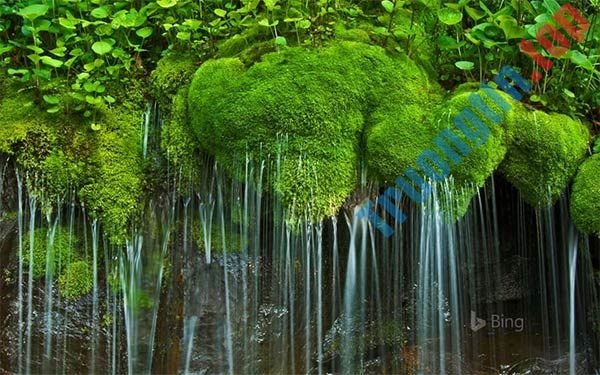 Tổng&nbsp;hợp&nbsp;theme&nbsp;mùa&nbsp;hè&nbsp;cho&nbsp;Windows&nbsp;10