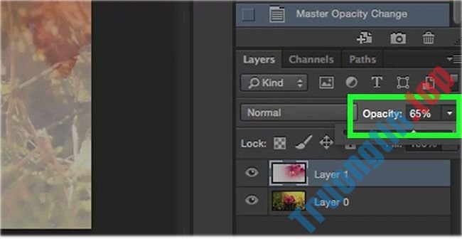 Cách&nbsp;sử&nbsp;dụng&nbsp;Fading&nbsp;Tool&nbsp;trong&nbsp;Photoshop