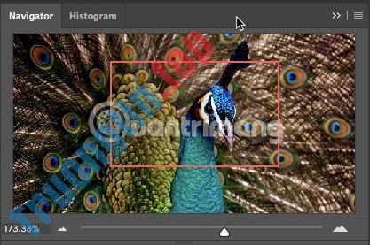 4&nbsp;cách&nbsp;phóng&nbsp;to&nbsp;ảnh&nbsp;trong&nbsp;Photoshop