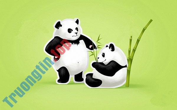 Bộ&nbsp;ảnh&nbsp;nền&nbsp;gấu&nbsp;trúc&nbsp;dễ&nbsp;thương&nbsp;nhất&nbsp;cho&nbsp;máy&nbsp;tính