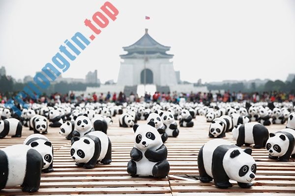 Bộ&nbsp;ảnh&nbsp;nền&nbsp;gấu&nbsp;trúc&nbsp;dễ&nbsp;thương&nbsp;nhất&nbsp;cho&nbsp;máy&nbsp;tính