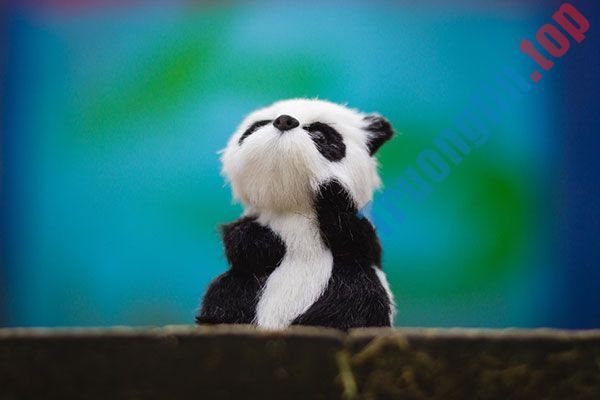 Bộ&nbsp;ảnh&nbsp;nền&nbsp;gấu&nbsp;trúc&nbsp;dễ&nbsp;thương&nbsp;nhất&nbsp;cho&nbsp;máy&nbsp;tính