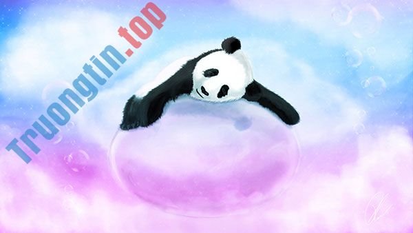 Bộ&nbsp;ảnh&nbsp;nền&nbsp;gấu&nbsp;trúc&nbsp;dễ&nbsp;thương&nbsp;nhất&nbsp;cho&nbsp;máy&nbsp;tính