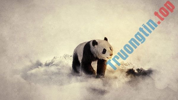 Bộ&nbsp;ảnh&nbsp;nền&nbsp;gấu&nbsp;trúc&nbsp;dễ&nbsp;thương&nbsp;nhất&nbsp;cho&nbsp;máy&nbsp;tính