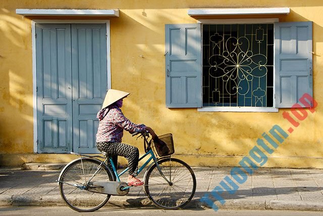 100+&nbsp;hình&nbsp;nền&nbsp;đẹp&nbsp;nhiều&nbsp;chủ&nbsp;đề&nbsp;cho&nbsp;máy&nbsp;tính&nbsp;và&nbsp;laptop