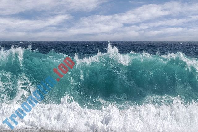 100+&nbsp;hình&nbsp;nền&nbsp;đẹp&nbsp;nhiều&nbsp;chủ&nbsp;đề&nbsp;cho&nbsp;máy&nbsp;tính&nbsp;và&nbsp;laptop