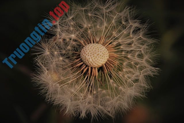 100+&nbsp;hình&nbsp;nền&nbsp;đẹp&nbsp;nhiều&nbsp;chủ&nbsp;đề&nbsp;cho&nbsp;máy&nbsp;tính&nbsp;và&nbsp;laptop