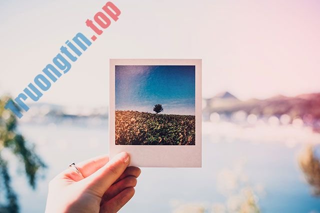 100+&nbsp;hình&nbsp;nền&nbsp;đẹp&nbsp;nhiều&nbsp;chủ&nbsp;đề&nbsp;cho&nbsp;máy&nbsp;tính&nbsp;và&nbsp;laptop