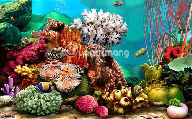 30&nbsp;screensaver&nbsp;tuyệt&nbsp;vời&nbsp;cho&nbsp;desktop