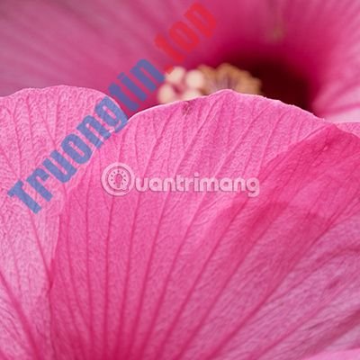 Hướng&nbsp;dẫn&nbsp;sử&nbsp;dụng&nbsp;Luminar&nbsp;của&nbsp;Macphun&nbsp;cho&nbsp;người&nbsp;mới&nbsp;bắt&nbsp;đầu