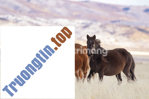 Hướng&nbsp;dẫn&nbsp;sử&nbsp;dụng&nbsp;Luminar&nbsp;của&nbsp;Macphun&nbsp;cho&nbsp;người&nbsp;mới&nbsp;bắt&nbsp;đầu