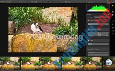 Hướng&nbsp;dẫn&nbsp;sử&nbsp;dụng&nbsp;Luminar&nbsp;của&nbsp;Macphun&nbsp;cho&nbsp;người&nbsp;mới&nbsp;bắt&nbsp;đầu