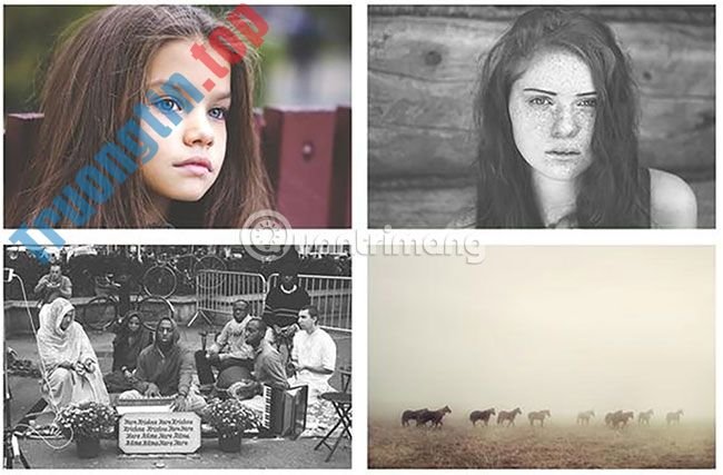 19&nbsp;trang&nbsp;web&nbsp;tải&nbsp;Photoshop&nbsp;Action&nbsp;miễn&nbsp;phí