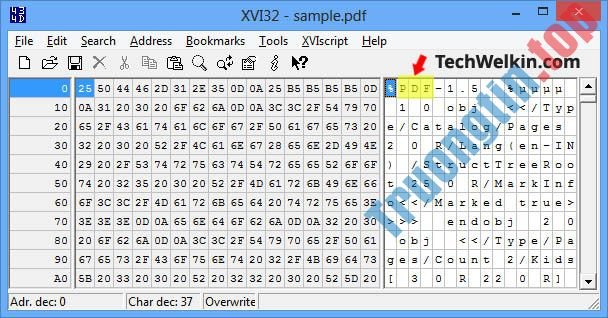 Làm&nbsp;thế&nbsp;nào&nbsp;để&nbsp;mở&nbsp;và&nbsp;đọc&nbsp;file&nbsp;.DAT?
