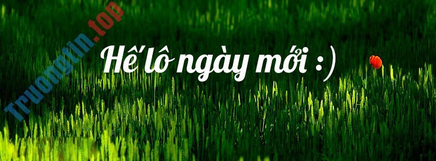 Những&nbsp;ảnh&nbsp;bìa&nbsp;Facebook&nbsp;chào&nbsp;buổi&nbsp;sáng&nbsp;đẹp,&nbsp;ý&nbsp;nghĩa