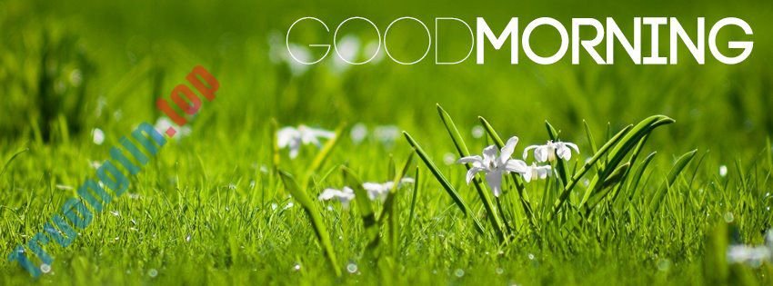 Những&nbsp;ảnh&nbsp;bìa&nbsp;Facebook&nbsp;chào&nbsp;buổi&nbsp;sáng&nbsp;đẹp,&nbsp;ý&nbsp;nghĩa