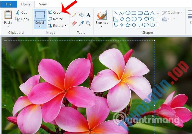 Cách&nbsp;cắt&nbsp;hình&nbsp;ảnh&nbsp;bằng&nbsp;Paint