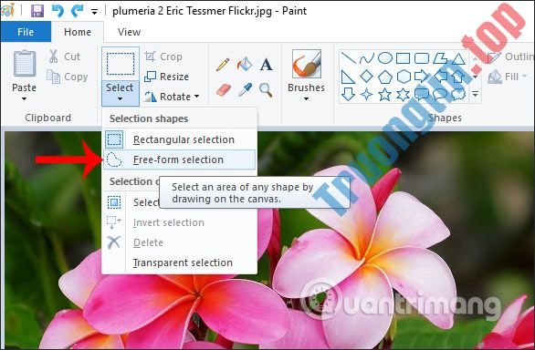 Cách&nbsp;cắt&nbsp;hình&nbsp;ảnh&nbsp;bằng&nbsp;Paint