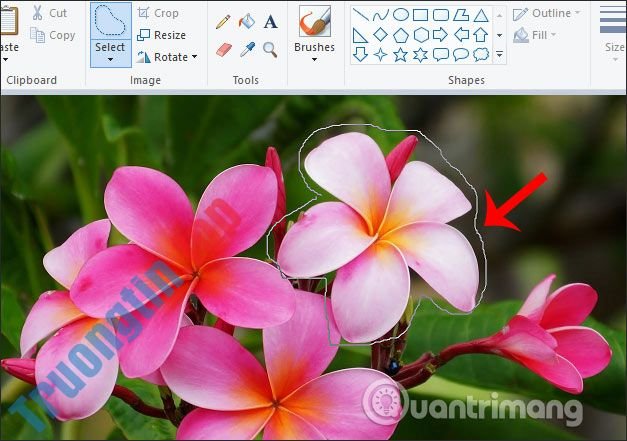 Cách&nbsp;cắt&nbsp;hình&nbsp;ảnh&nbsp;bằng&nbsp;Paint