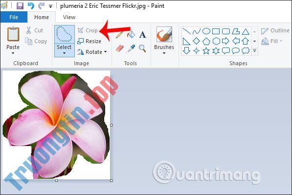 Cách&nbsp;cắt&nbsp;hình&nbsp;ảnh&nbsp;bằng&nbsp;Paint