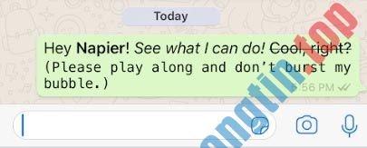 Cách&nbsp;chèn&nbsp;chữ&nbsp;nghiêng&nbsp;và&nbsp;chữ&nbsp;đậm&nbsp;vào&nbsp;tin&nbsp;nhắn&nbsp;WhatsApp