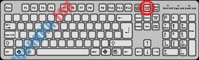 6 cách khắc phục lỗi các phím mũi tên không hoạt động trong Excel 1 6 cách khắc phục lỗi các phím mũi tên không hoạt động trong Excel