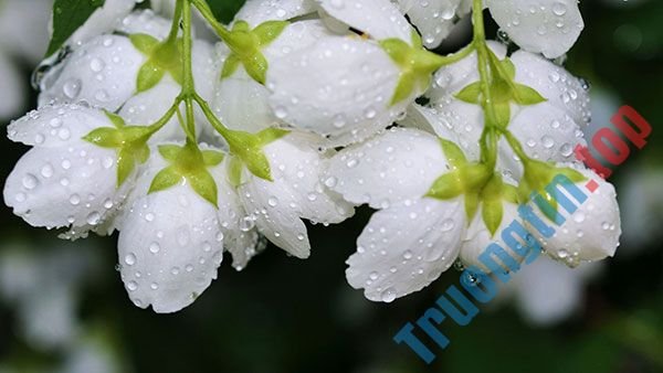 Tải&nbsp;ngay&nbsp;200&nbsp;ảnh&nbsp;nền&nbsp;với&nbsp;nhiều&nbsp;chủ&nbsp;đề&nbsp;khác&nbsp;nhau&nbsp;cho&nbsp;máy&nbsp;tính