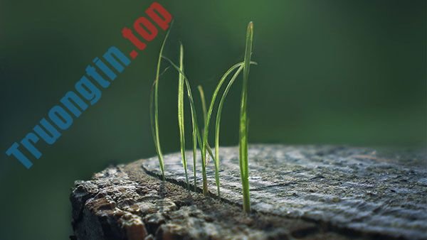 Tải&nbsp;ngay&nbsp;200&nbsp;ảnh&nbsp;nền&nbsp;với&nbsp;nhiều&nbsp;chủ&nbsp;đề&nbsp;khác&nbsp;nhau&nbsp;cho&nbsp;máy&nbsp;tính