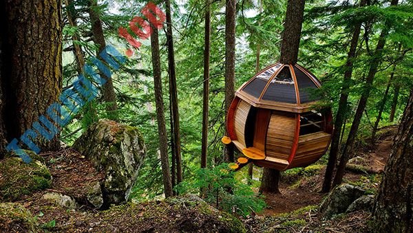 Tải&nbsp;ngay&nbsp;200&nbsp;ảnh&nbsp;nền&nbsp;với&nbsp;nhiều&nbsp;chủ&nbsp;đề&nbsp;khác&nbsp;nhau&nbsp;cho&nbsp;máy&nbsp;tính