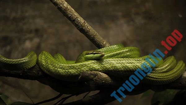 Tải&nbsp;ngay&nbsp;200&nbsp;ảnh&nbsp;nền&nbsp;với&nbsp;nhiều&nbsp;chủ&nbsp;đề&nbsp;khác&nbsp;nhau&nbsp;cho&nbsp;máy&nbsp;tính