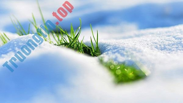 Tải&nbsp;ngay&nbsp;200&nbsp;ảnh&nbsp;nền&nbsp;với&nbsp;nhiều&nbsp;chủ&nbsp;đề&nbsp;khác&nbsp;nhau&nbsp;cho&nbsp;máy&nbsp;tính