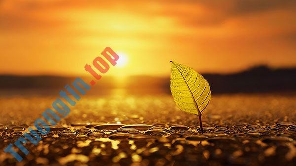 Tải&nbsp;ngay&nbsp;200&nbsp;ảnh&nbsp;nền&nbsp;với&nbsp;nhiều&nbsp;chủ&nbsp;đề&nbsp;khác&nbsp;nhau&nbsp;cho&nbsp;máy&nbsp;tính