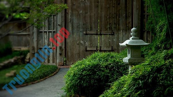 Tải&nbsp;ngay&nbsp;200&nbsp;ảnh&nbsp;nền&nbsp;với&nbsp;nhiều&nbsp;chủ&nbsp;đề&nbsp;khác&nbsp;nhau&nbsp;cho&nbsp;máy&nbsp;tính