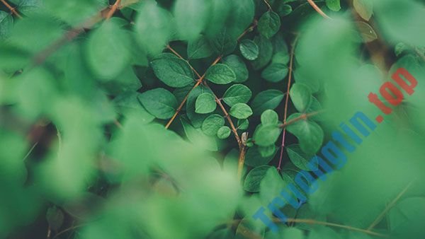 Tải&nbsp;ngay&nbsp;200&nbsp;ảnh&nbsp;nền&nbsp;với&nbsp;nhiều&nbsp;chủ&nbsp;đề&nbsp;khác&nbsp;nhau&nbsp;cho&nbsp;máy&nbsp;tính