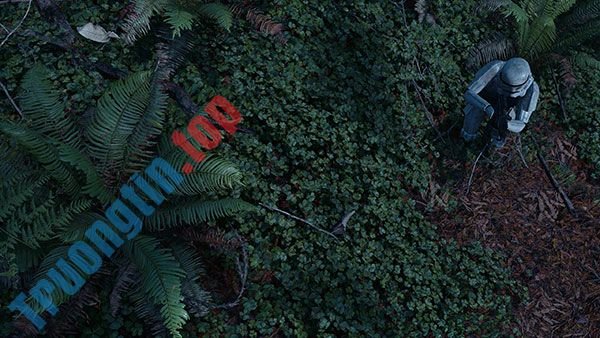 Tải&nbsp;ngay&nbsp;200&nbsp;ảnh&nbsp;nền&nbsp;với&nbsp;nhiều&nbsp;chủ&nbsp;đề&nbsp;khác&nbsp;nhau&nbsp;cho&nbsp;máy&nbsp;tính