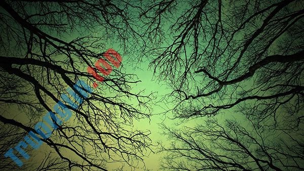 Tải&nbsp;ngay&nbsp;200&nbsp;ảnh&nbsp;nền&nbsp;với&nbsp;nhiều&nbsp;chủ&nbsp;đề&nbsp;khác&nbsp;nhau&nbsp;cho&nbsp;máy&nbsp;tính