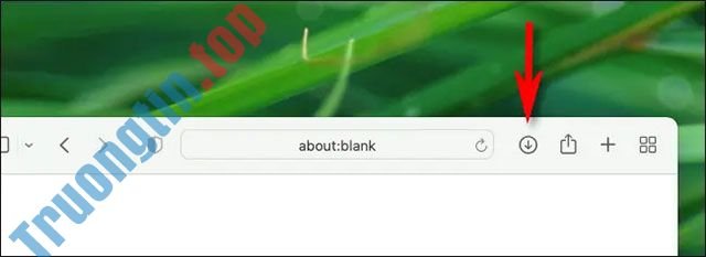 Cách&nbsp;xem&nbsp;và&nbsp;xóa&nbsp;lịch&nbsp;sử&nbsp;Download&nbsp;của&nbsp;Safari&nbsp;trên&nbsp;máy&nbsp;Mac