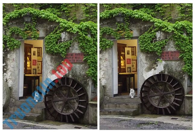 7&nbsp;cách&nbsp;đơn&nbsp;giản&nbsp;để&nbsp;sử&nbsp;dụng&nbsp;công&nbsp;cụ&nbsp;Transform&nbsp;của&nbsp;Photoshop