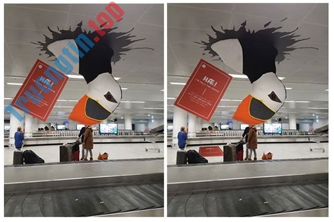 7&nbsp;cách&nbsp;đơn&nbsp;giản&nbsp;để&nbsp;sử&nbsp;dụng&nbsp;công&nbsp;cụ&nbsp;Transform&nbsp;của&nbsp;Photoshop